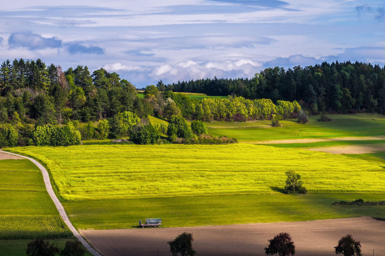 Investissement ESG à Reims